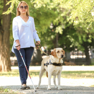 Emotional support animals – Benefits and things to consider